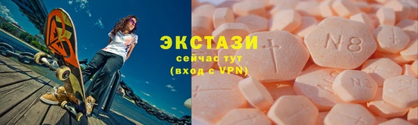 ECSTASY Богородицк