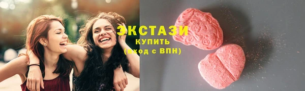 ECSTASY Богородицк