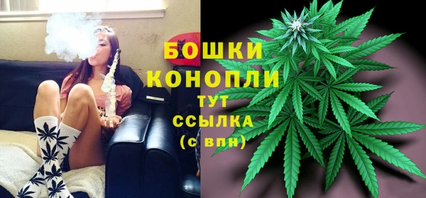 ECSTASY Богородицк